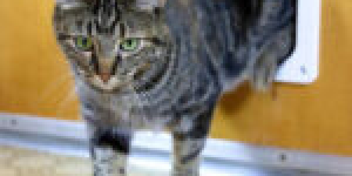 20 Trailblazers Setting The Standard In Cat Flap Installation Tips
