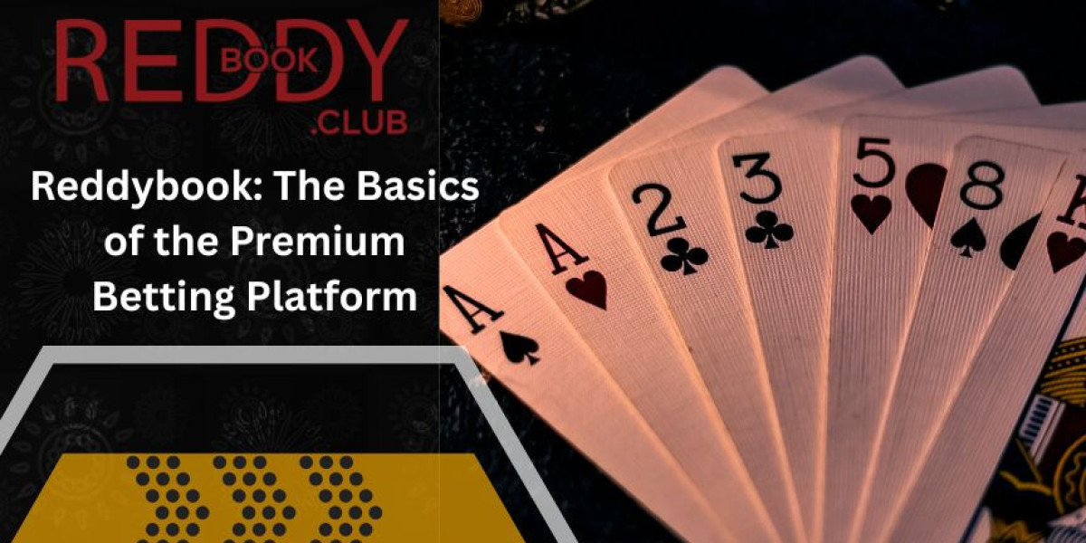 Reddybook: The Basics of the Premium Betting Platform
